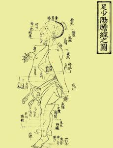 alt="decorative picture of an acupuncture chart of man with big abdomen"