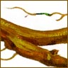 Licorice root is a great detoxifier.